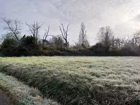terrain