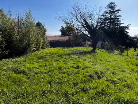 terrain