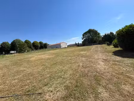 terrain