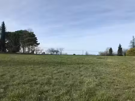 terrain