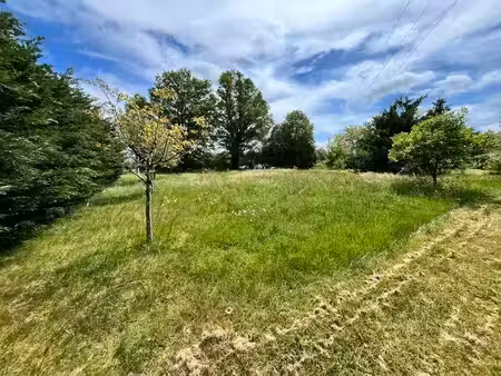 terrain