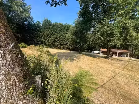 terrain