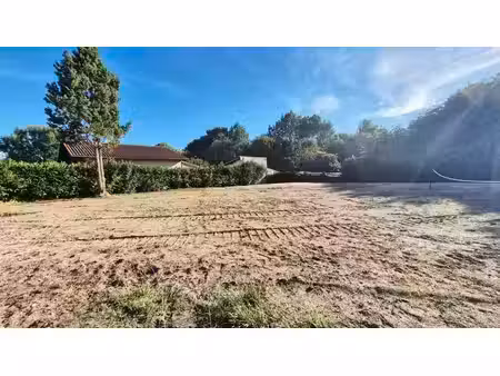 terrain