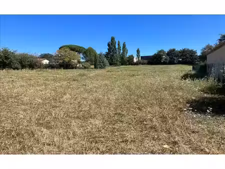 terrain