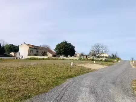 terrain