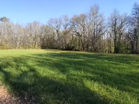terrain