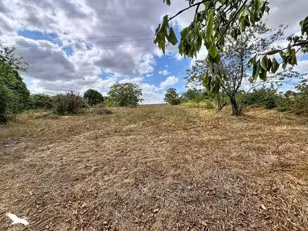 terrain
