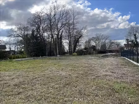 terrain