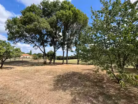 terrain