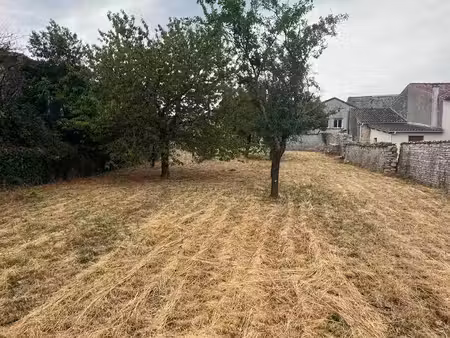 terrain