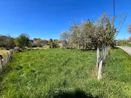 terrain