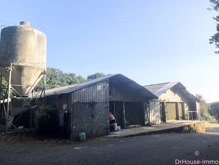vente locaux professionnels 2 pièces 400 m² à berrien (29690)  55 000 €