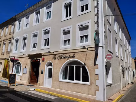 vente locaux professionnels 24 pièces 770 m² à mirande (32300)  482 400 €