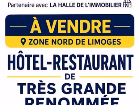vente locaux professionnels 620 m² à limoges (87000)  596 800 €