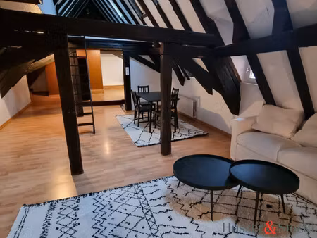 cosy 2 pièces en duplex de 90m2 au sol et 48m2 habitable au cen