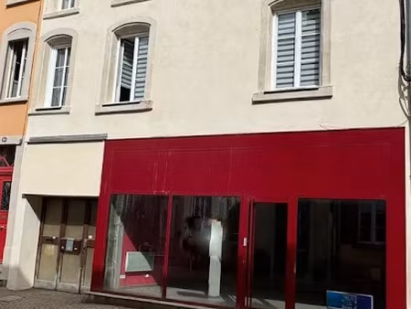 vente immeuble 11 pièces 312 m² à luneville (54300)  245 000 €