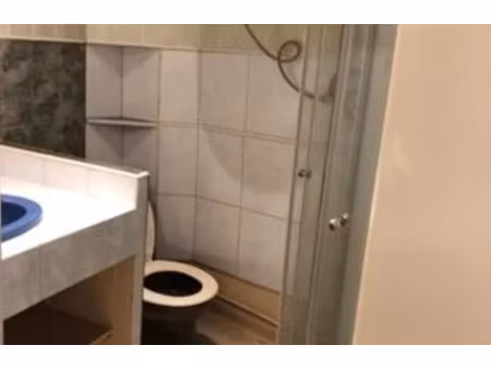 location appartement 1 pièce à bordeaux (33000)  390 €