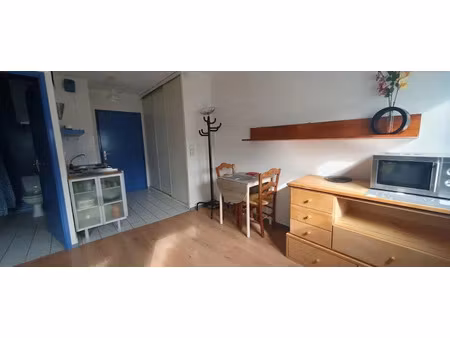 location meublée appartement 1 pièce 21 m² à lyon 7ème (69007)  620 €