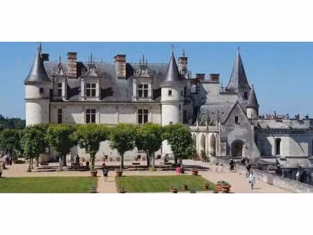 maison avec piscine et jardin amboise (37)