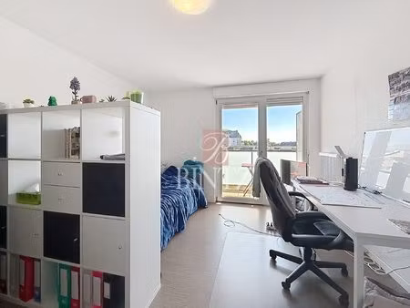 appartement à louer strasbourg