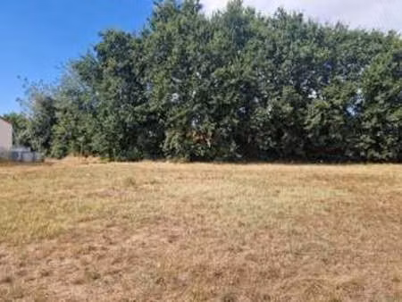 vente terrain à challans (85300) : à vendre / 439m² challans