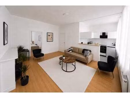 appartement 1 chambre  rénové et meublé  60 m²