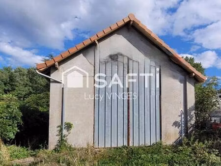 safti vinges lucy conseiller indépendant