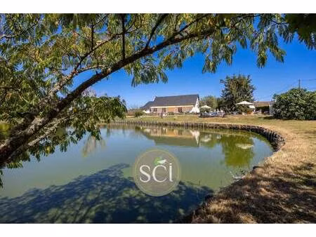 sologne conseil immobilier