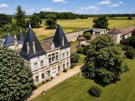 prestigieux château de 900 m2 en vente - la sauve  nouvelle-aquitaine