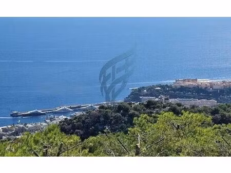 villa de luxe en vente beausoleil  france
