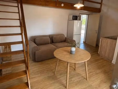 appartement t1 avec mezzanine  jardin et terrasse