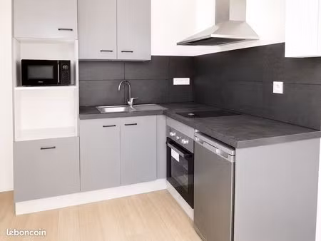 t2 30 m² entièrement rénové - dpe c - première location - secteur foirail – app 3