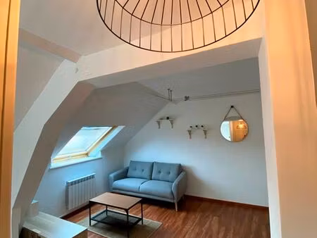 loue charmant t1bis meublé de 39m2 carrez (49m2 surface totale)