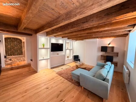 rue saint-michel  duplex rénové à neuf  poutres  pierre et verrière » ou « le duplex qu'on
