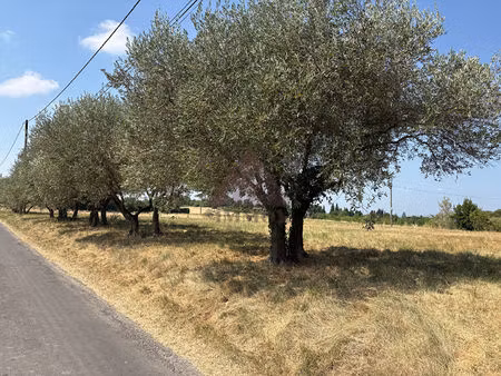 magnifique terrain à batir