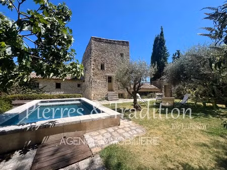 luberon  maison de village avec jardin et piscine et maison d'amis