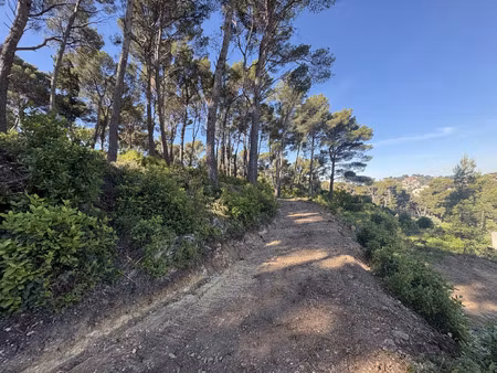vente terrain 6400 m² ollioules (83190)