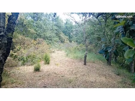 terrain 5060m2