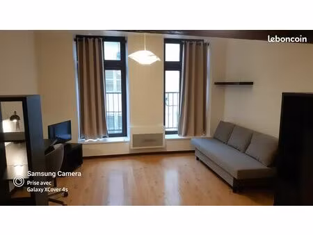 grand studio meublé (avec lave-linge et tv hd) en centre-ville