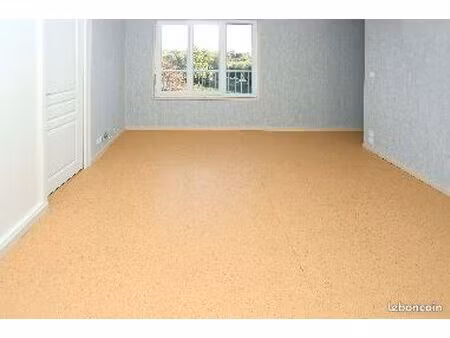appartement 3 pièces 57 m²