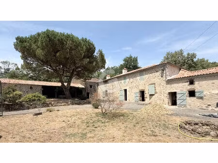 propriété - 8 pieces - 235 m2 - a vendre - les rives de l'yon