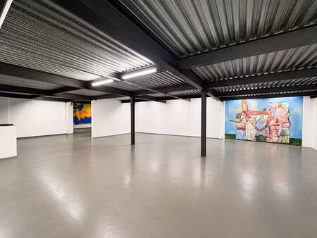 local commercial toulouse 660 m2