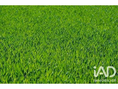 vente terrain 529 m²
