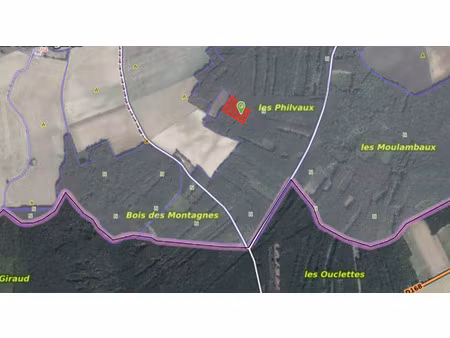 vente terrain 11129 m² bouhy (58310)