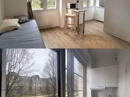 studio hypercentre vue château