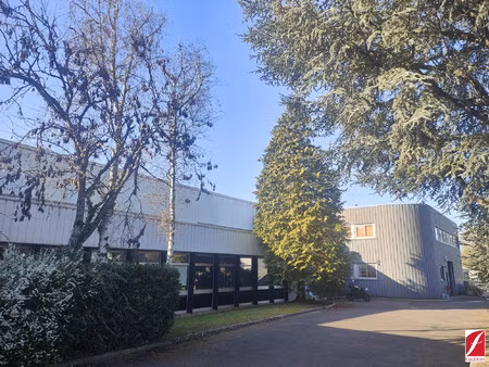 immobilier professionnel à vendre saint-fargeau-ponthierry