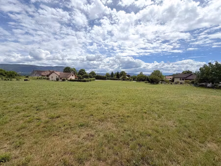 vente terrain 6049 m2 à creys-mépieu