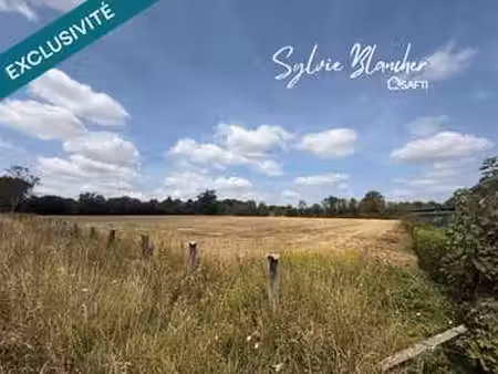 vente terrain à noyers-bocage (14210) : à vendre / 16000m² noyers-bocage
