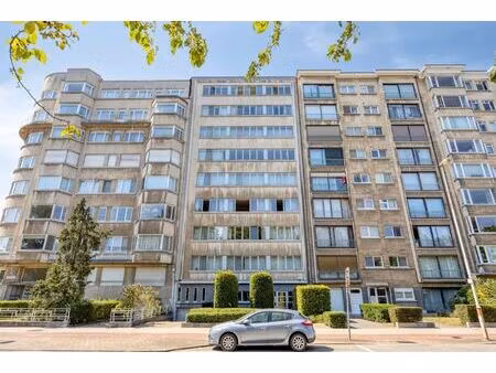 appartement te huur in antwerpen