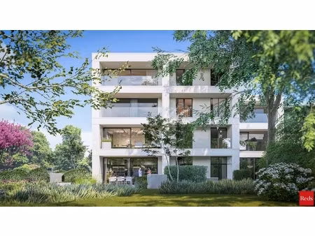 appartement te huur in edegem met 2 slaapkamers